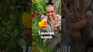 3 medicinal flowers #shorts