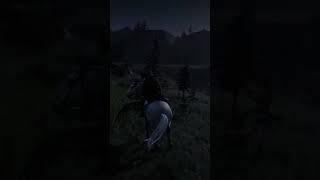 Distracted riding #rdr2