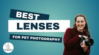 Best Lenses for Pet Photography