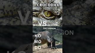 "Komodo Dragon vs Crocodile: Reptile Showdown!"