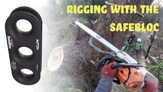 Arborist Removes Hazardous Tree Using Safebloc Rigging