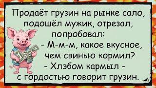  Как на Базаре САЛОМ Торговали... анекдоты юмор смех