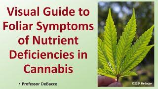 Visual Guide to Foliar Symptoms of Nutrient Deficiencies in Cannabis