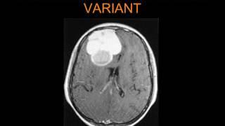 27 Radiology Channel Imaging oral Board of text book