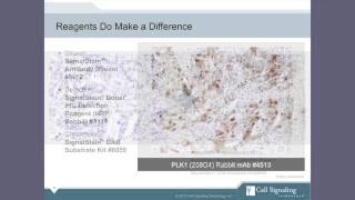 Immunohistochemistry IHC Tips and Techniques