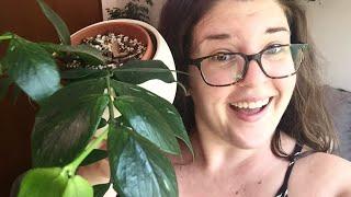 HOYA TOUR! (Part 2 of 3) | It’s a JUNGLE in here!