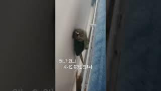 [그 앵이 알고싶다.] 언제나 외톨이 마음의 문을 닫고 슬픔을 등에지고 살아가는 날치