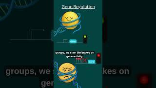 Ep8_Epigenetic Traffic Lights: DNA packing #scienceshorts #viralscience #shorts #biology