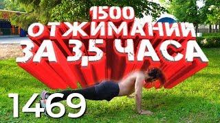 Сделал 1500 отжиманий Давидыча за 3.5 часа