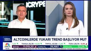 Kripto Varlıklar Ekim Ayında Yükseliş Performansı Yaşayacak Mı?