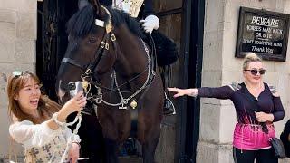 Unforgettable Prank Battles at Horse Guard, London!"**