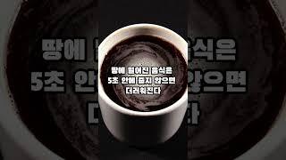 인류 역사상 가장 잘못된 상식 TOP7  #상식 #습관