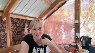 Всё! Забросила огород...