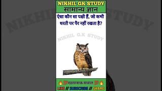 Questions|| GK in Hindi || GK Questions and Answer || GK Quiz || Importanc  #shorts #shortvideo