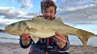 I Struck BASS Fishing GOLD - Biggest EVER... 3 PBs?! 