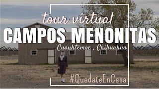 Tour CAMPOS MENONITAS | Cuauhtémoc, Chihuahua