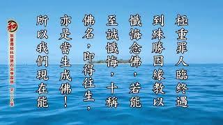 淨空法師《無量壽經科註第四回學習班》229