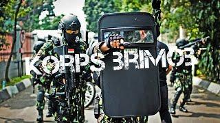 Brimob - 2020 - Indonesian Special Police