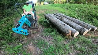 CUTTING DOWN TREES AND BUILDING A SMALL BRIDGE WITH MINI EXCAVATOR