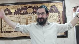 Rabbi Mendy Elishevitz Adventures in Tanya on KosherTube