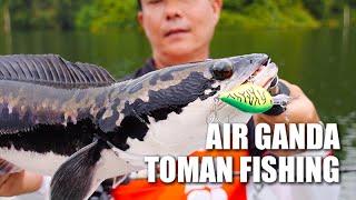 Air Ganda Toman Fishing