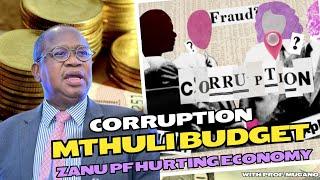 Corruption, Mthuli tax budget, Zanu PF hurting economy- Prof Mugano #situation