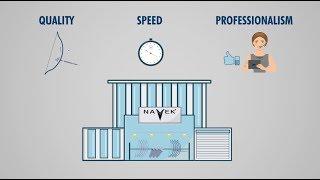 Navek Archery Infographic Animation (ENG)