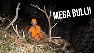 2016 Colorado Rifle Elk Hunt with Randy Newberg (S5 E6)