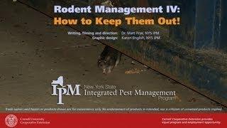 Rodent Management IV: How to Keep Them Out