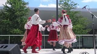 Heel and Toe PolkaBurya, Ukraine folk dance     MVI 1843