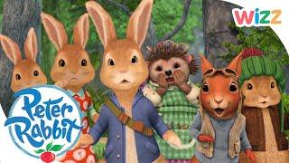 @OfficialPeterRabbit - Woodland Creatures | Wizz | Cartoons for Kids