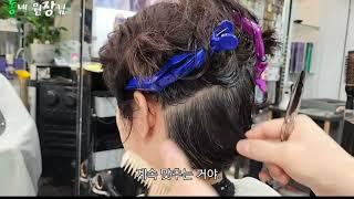 미용 초보도 가능한 세미 숏컷! 따라만 하면 완성! ️ #미용초보 #세미숏컷 #헤어스타일 #셀프미용 #가능