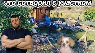 Трансформация участка своими руками , уборка , обрезка. Дом за границей.