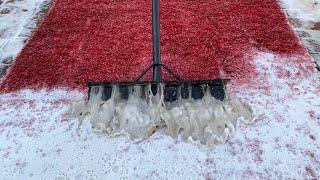 Scraping dirty water off carpets Compilation Pt. 28 || Satisfying Video