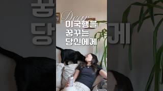 미국 10년차의 "미국" 현실 리뷰