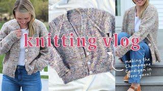 making the Champagne Cardigan by Petite Knit in Noro Madara yarn | knitting project vlog