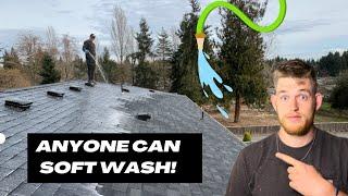 How anyone can soft wash a roof with cheap tools