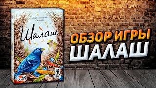 Обзор игры Шалаш