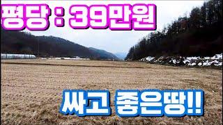 1541번)싸고좋은땅!! 평당:39만원 투자용/개발토지/팬션부지/동호인토지(양평부동산급매물)(양평토지매매)