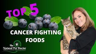 (Top 5 Cancer Fighting Foods) for Your Dogs and Cats with Dr. Katie Woodley - The Natural Pet Doctor