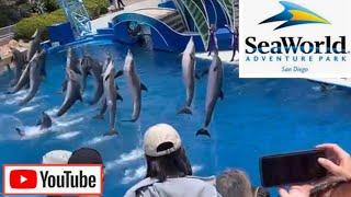 SeaWorld | San Diego California