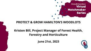 Protecting Hamilton Woodlots