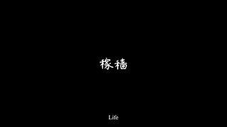 Looking China 看中国《稼穑》 life丨美国城市卫视