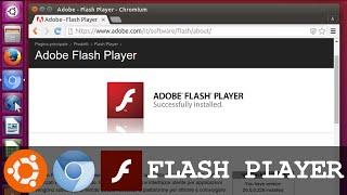 Install and Test Flash Player On Chrome Browser Web (Ubuntu)