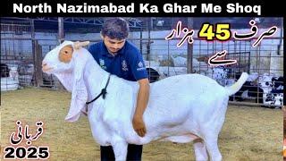 North Nazimabad Ka Ghar Me Qurbani 2025 Ka Sastay Bakra || Mandi Se Sasta Bakra || Bakra Mandi 2025