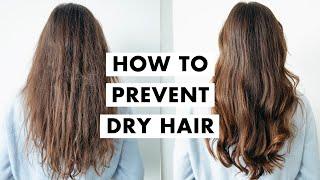 How to Fix Dry Hair | Winter Hair Tips