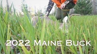 Solo Northern Maine Whitetail Deer Hunt | Buck Down | Self Filmed