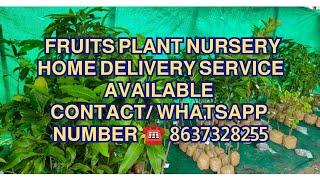 All exotic variety fruit plants Nursery  All over India home delivery service available