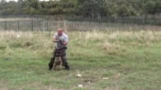 Demonstration training crowd control / tactical cqb obedience with use of firearm 