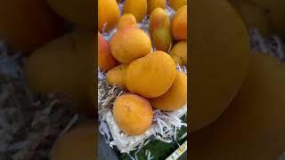Sweet Mango